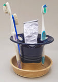 Toothbrush and Toothpaste Holder